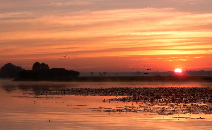 {short description of image}