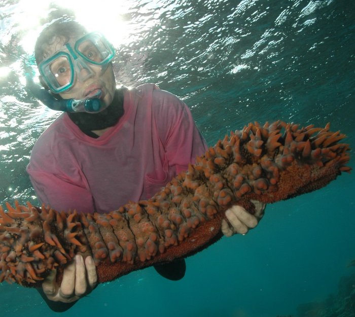 {short description of image}