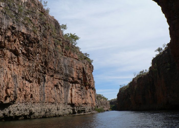 {short description of image}