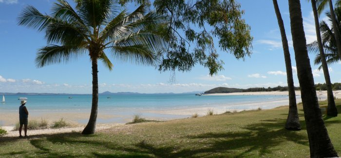 {short description of image}