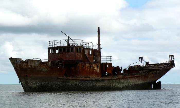 {short description of image}