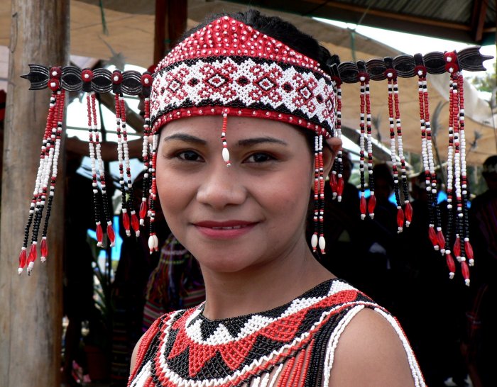 {short description of image}