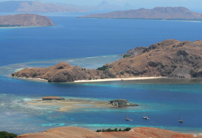 {short description of image}