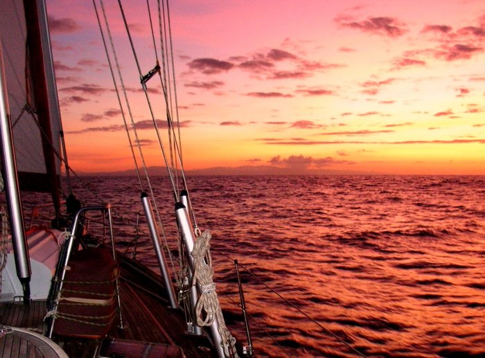 {short description of image}