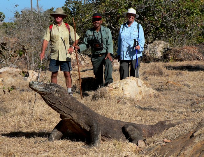 {short description of image}