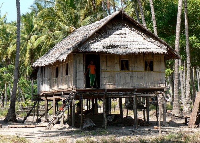 {short description of image}