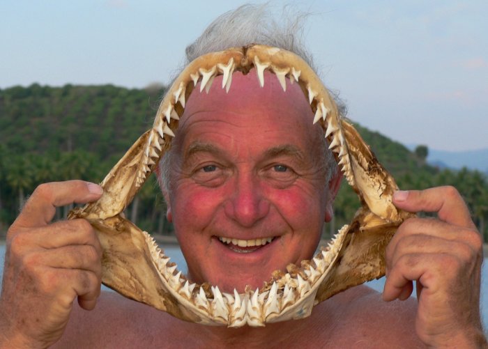 {short description of image}