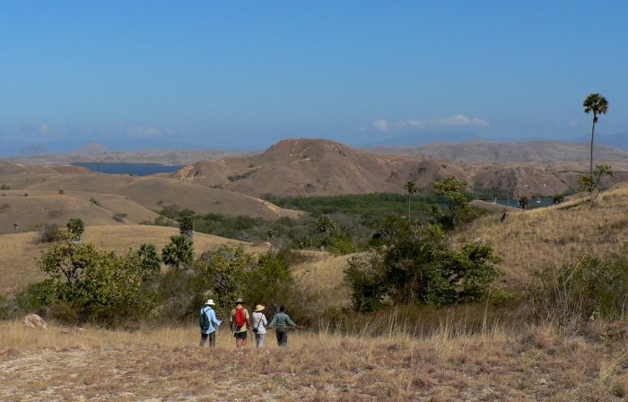 {short description of image}