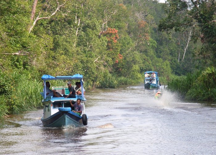 {short description of image}