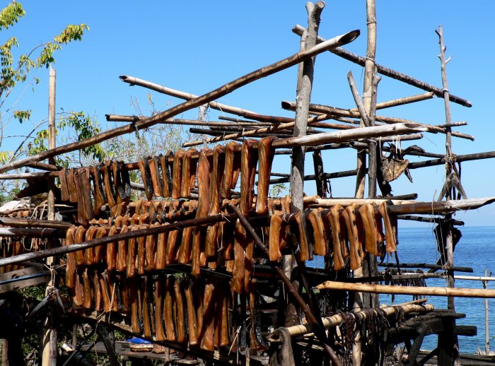 {short description of image}