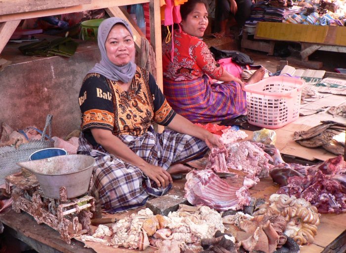 {short description of image}