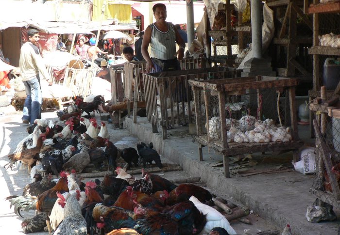 {short description of image}