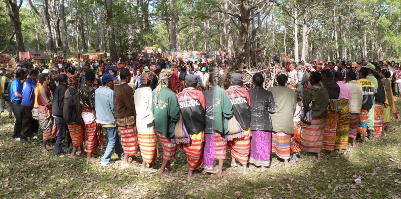 {short description of image}