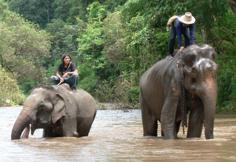 {short description of image}