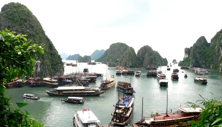 {short description of image}