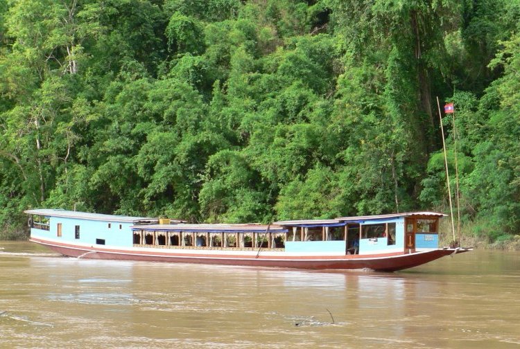 {short description of image}