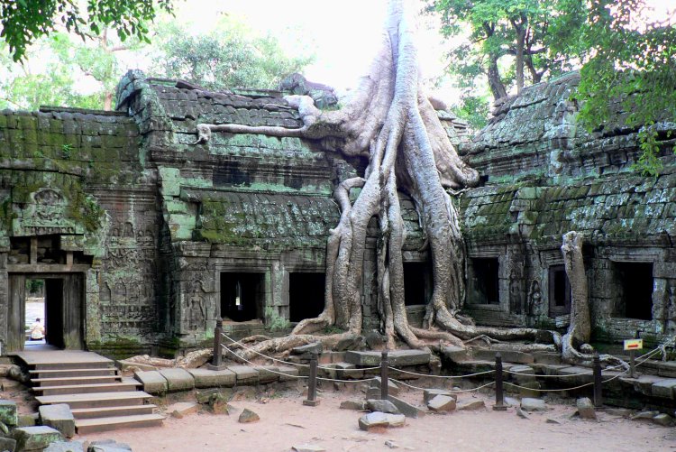 {short description of image}