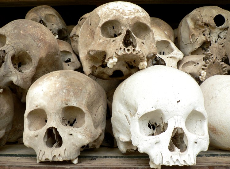 {short description of image}