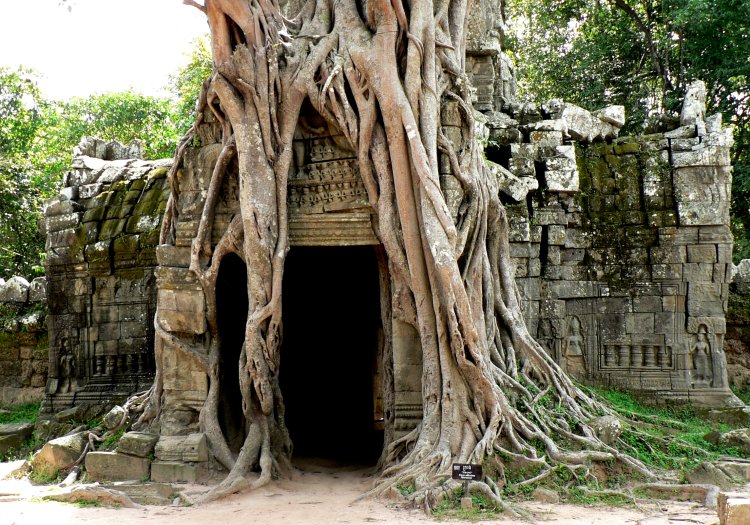 {short description of image}