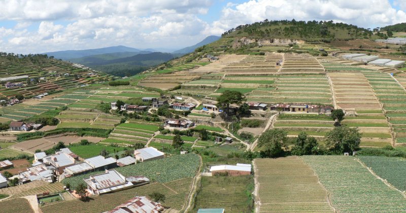 {short description of image}