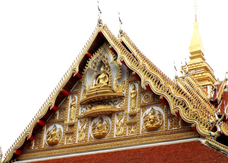 {short description of image}