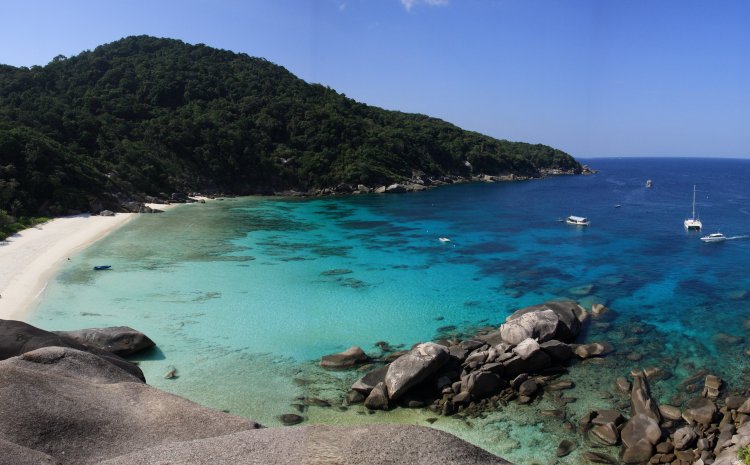 {short description of image}