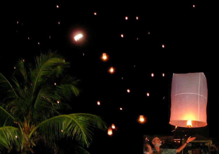 {short description of image}