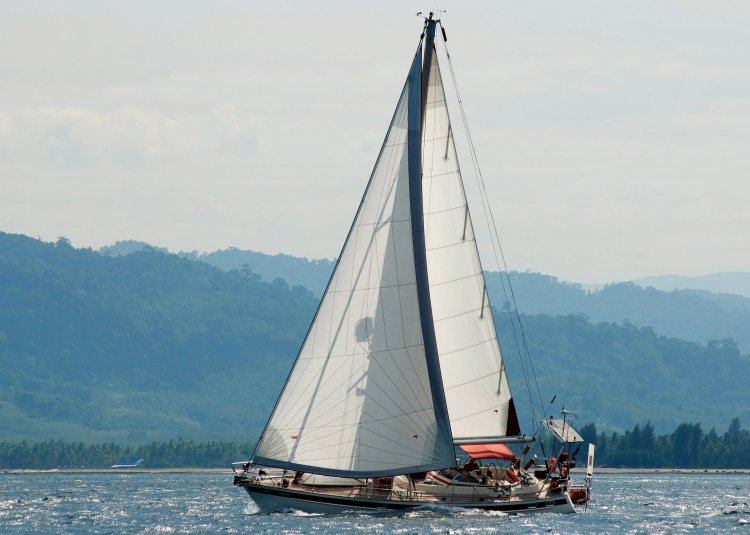 {short description of image}