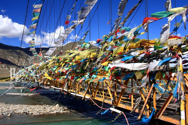 {short description of image}