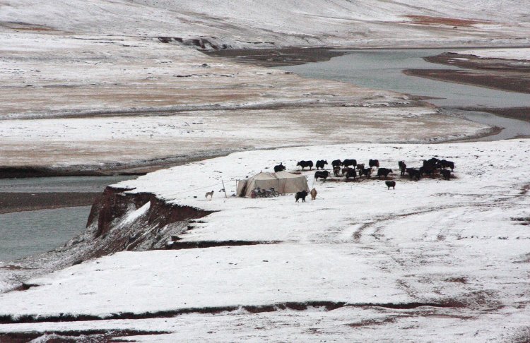 {short description of image}