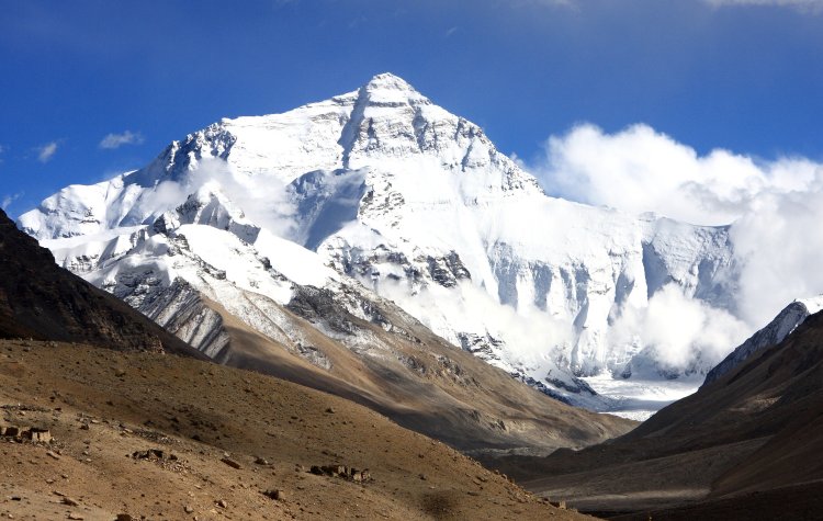 {short description of image}