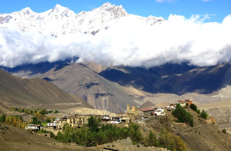 {short description of image}