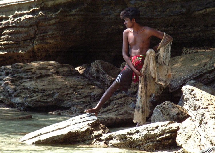 {short description of image}