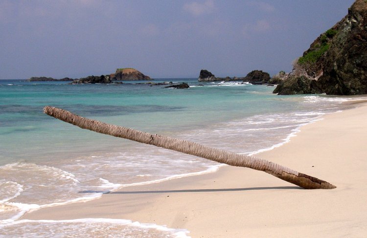 {short description of image}