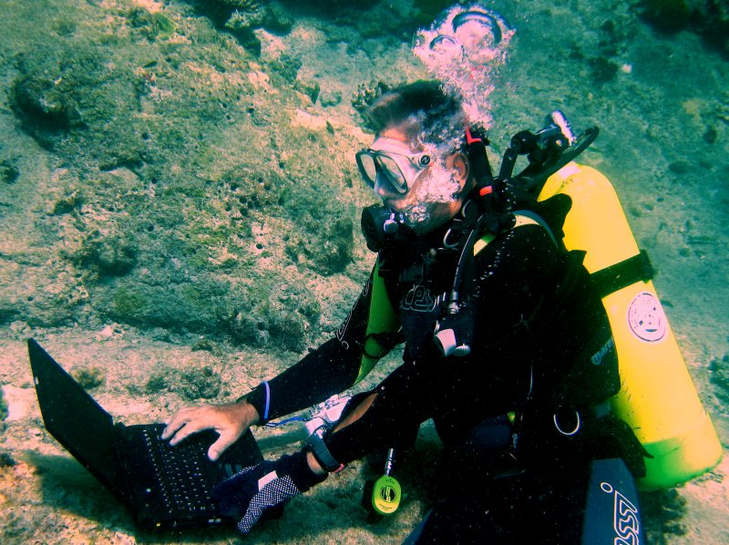 {short description of image}