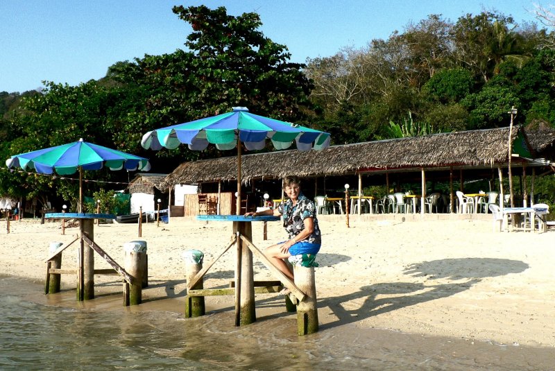 {short description of image}