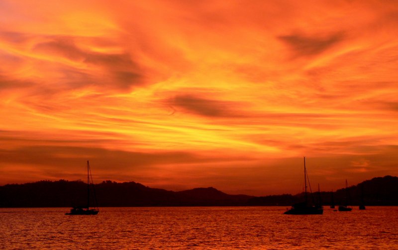 {short description of image}