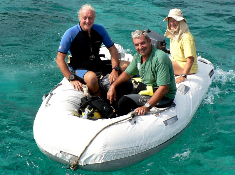 {short description of image}