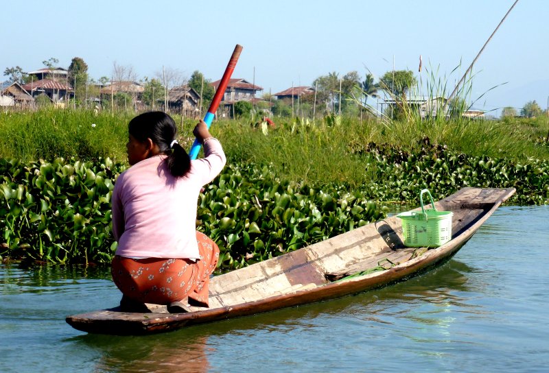 {short description of image}