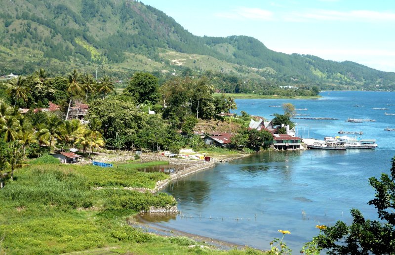 {short description of image}