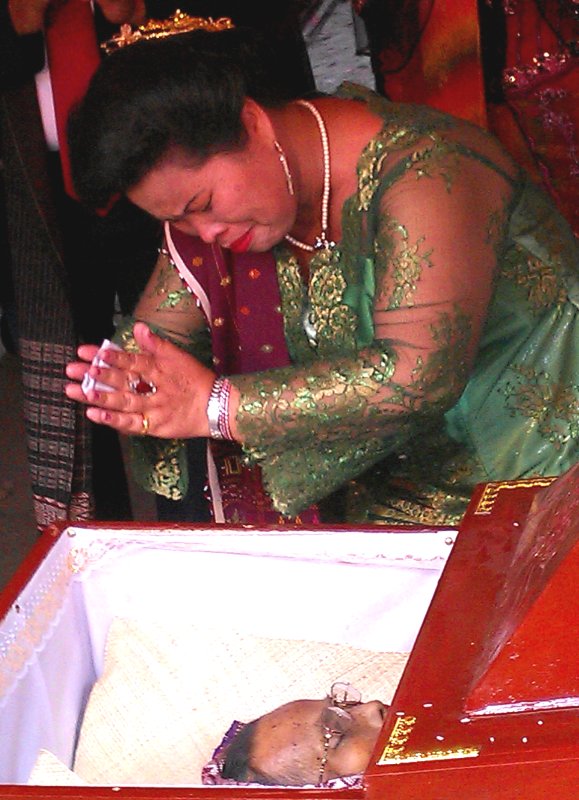 {short description of image}