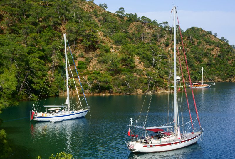 {short description of image}