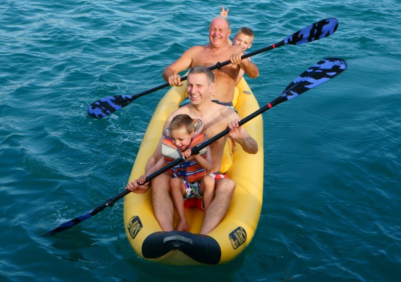 {short description of image}