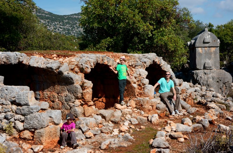 {short description of image}