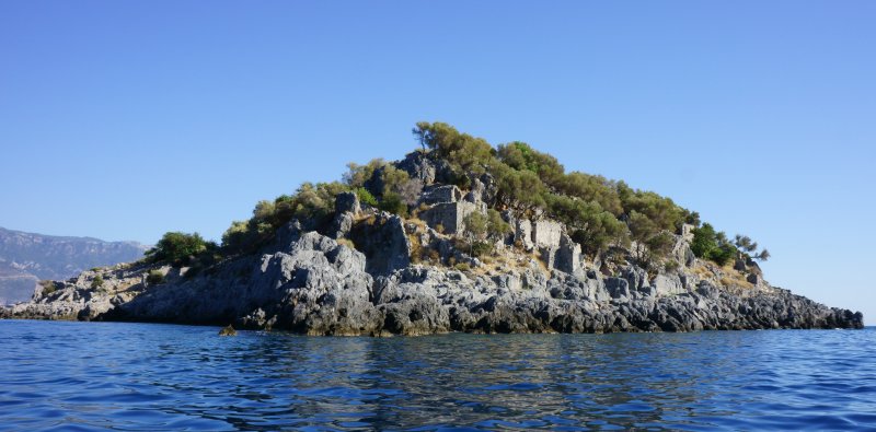 {short description of image}