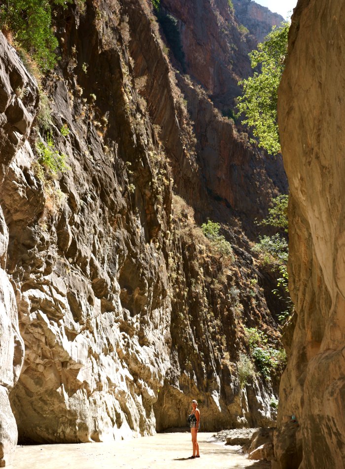 {short description of image}