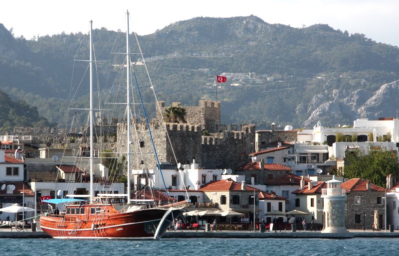 {short description of image}