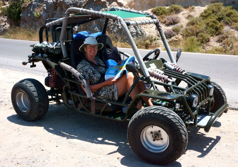 {short description of image}