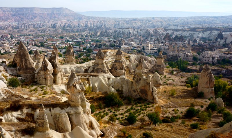 {short description of image}