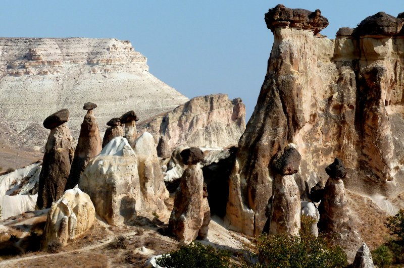 {short description of image}